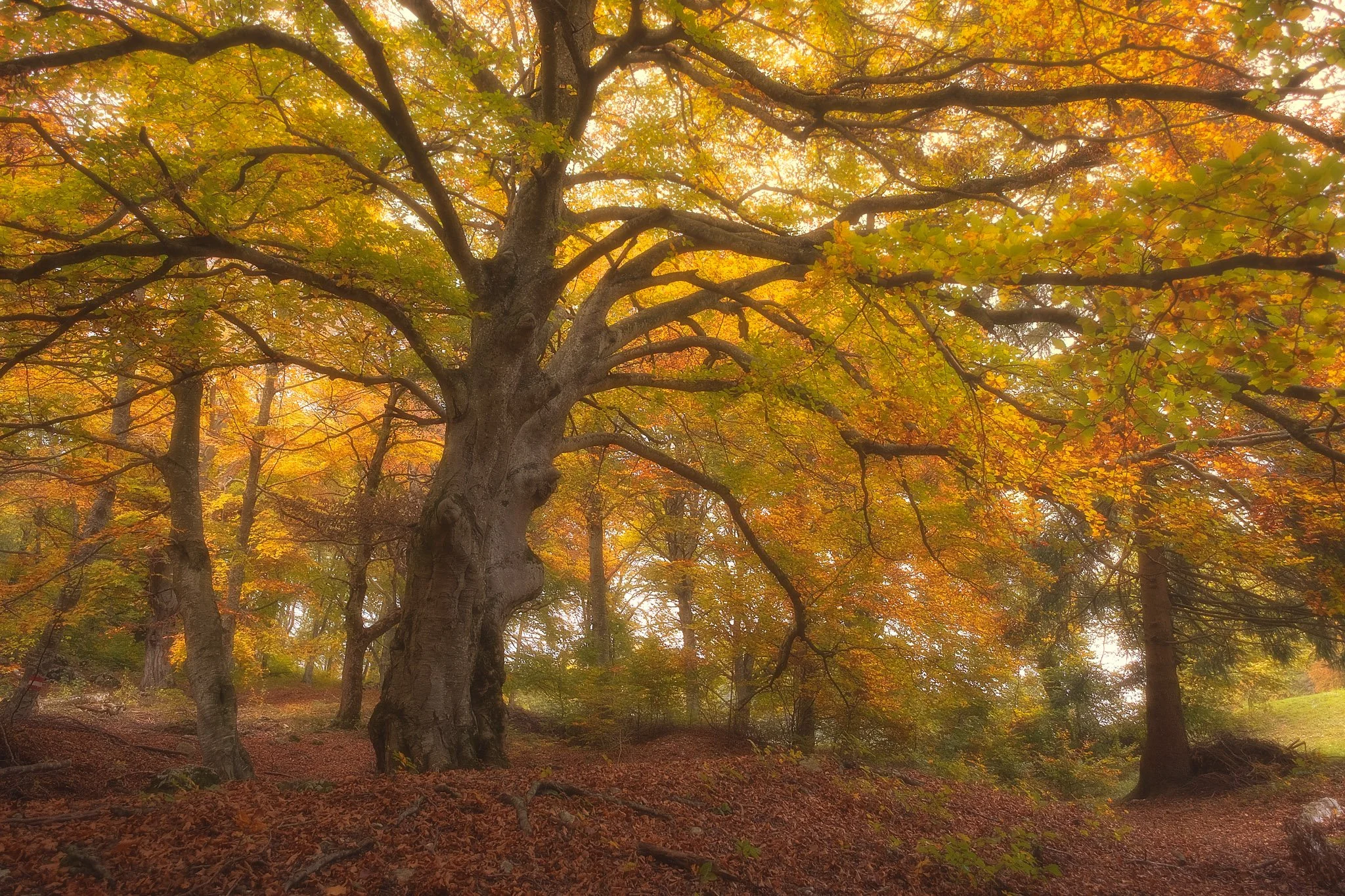 AV_4323 copia-Modifica-2.jpg