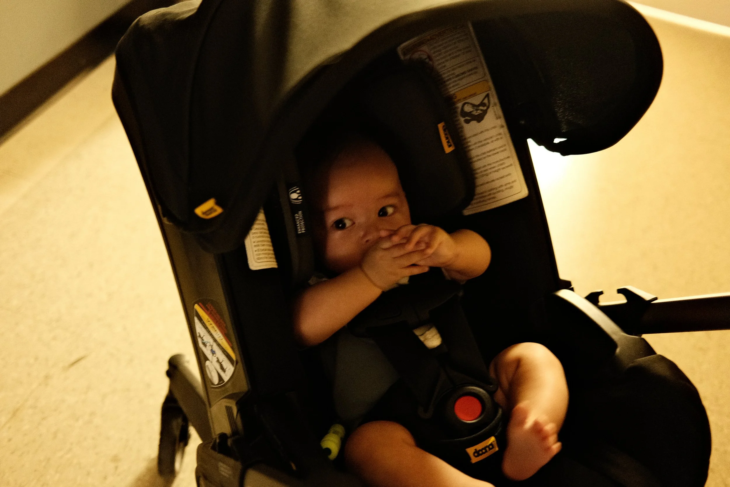 DSCF5472.JPG