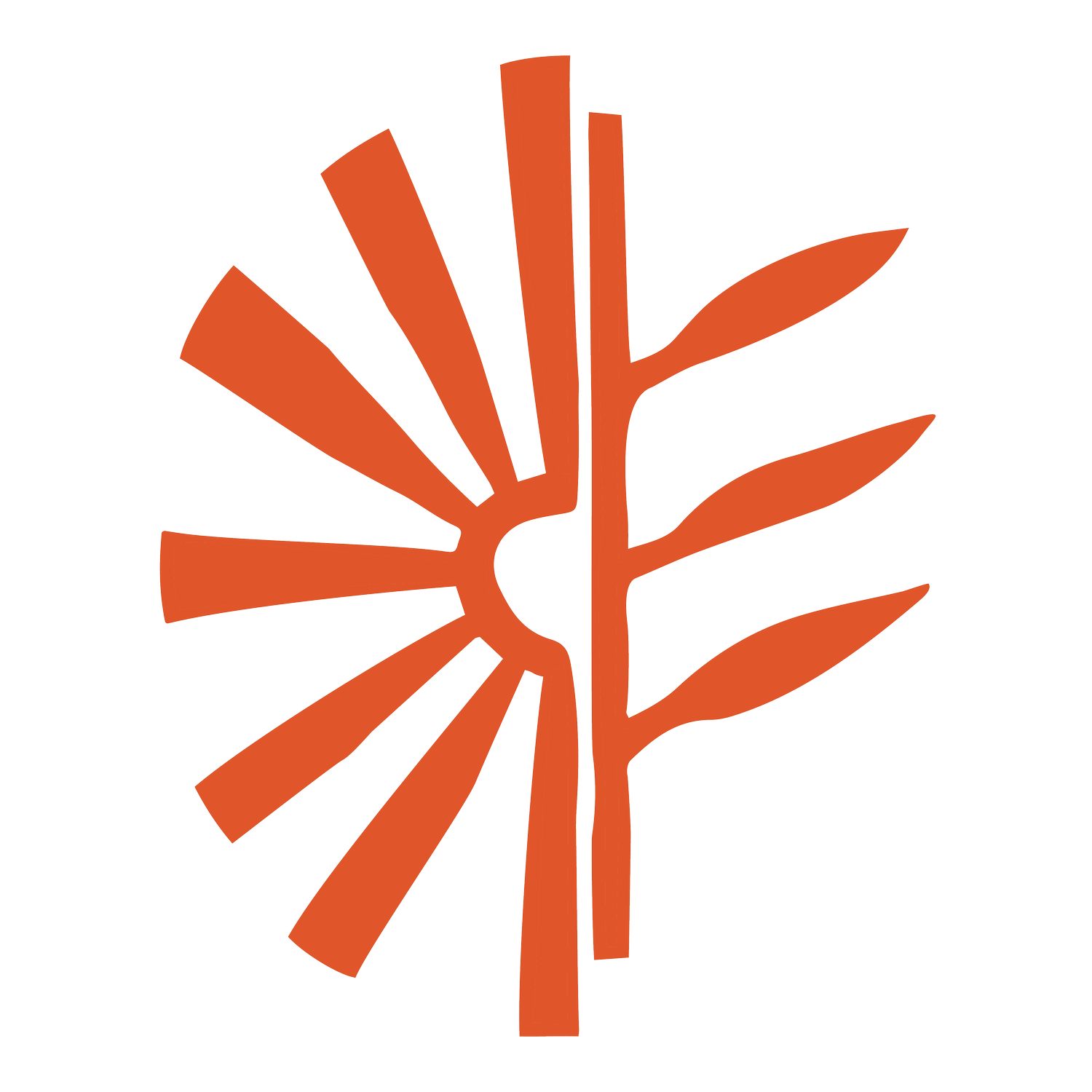 Ashtanga Yoga Menorca