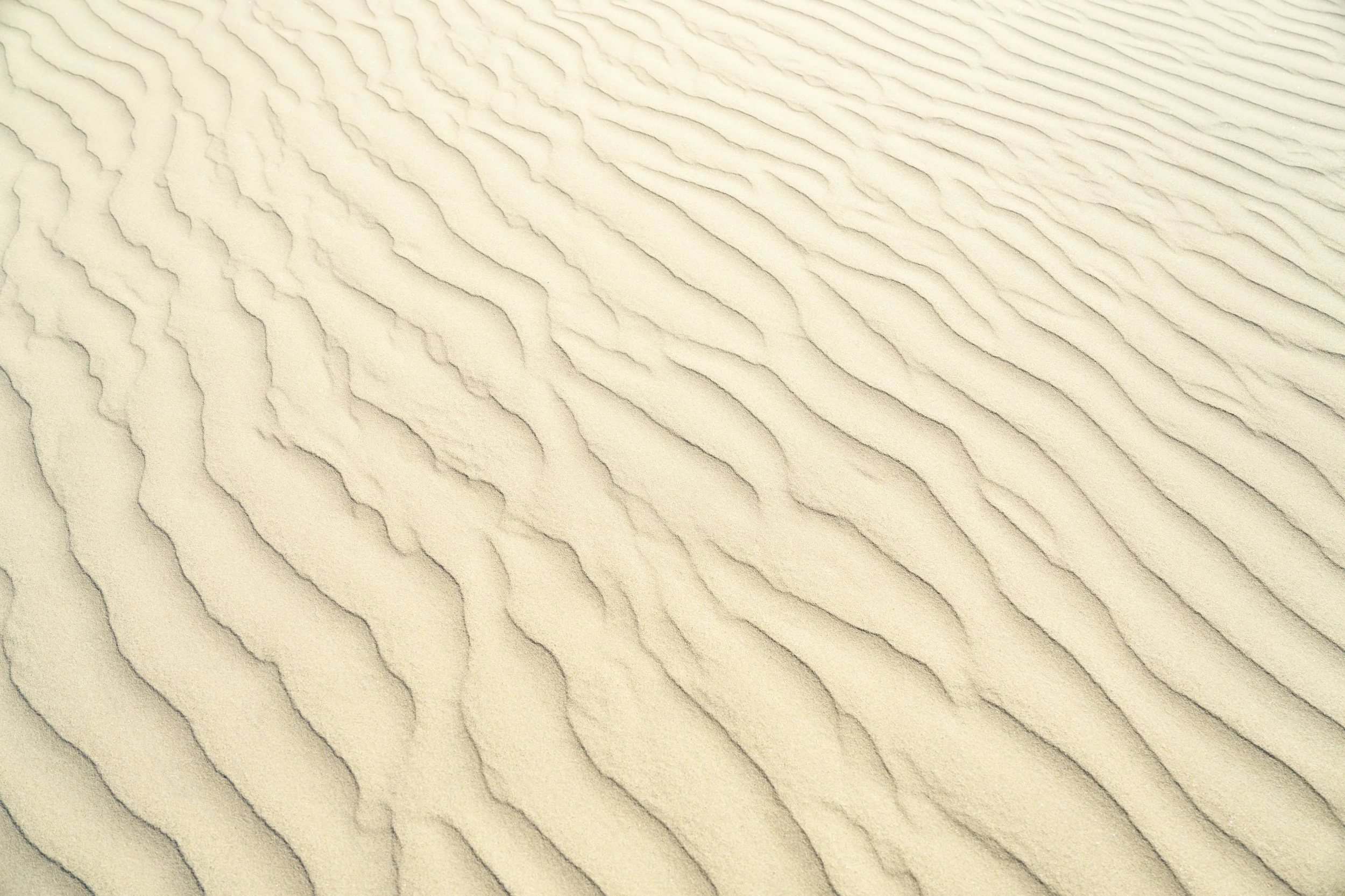 Understanding Attachment Styles: Exploring the Psychology Behind Relationships