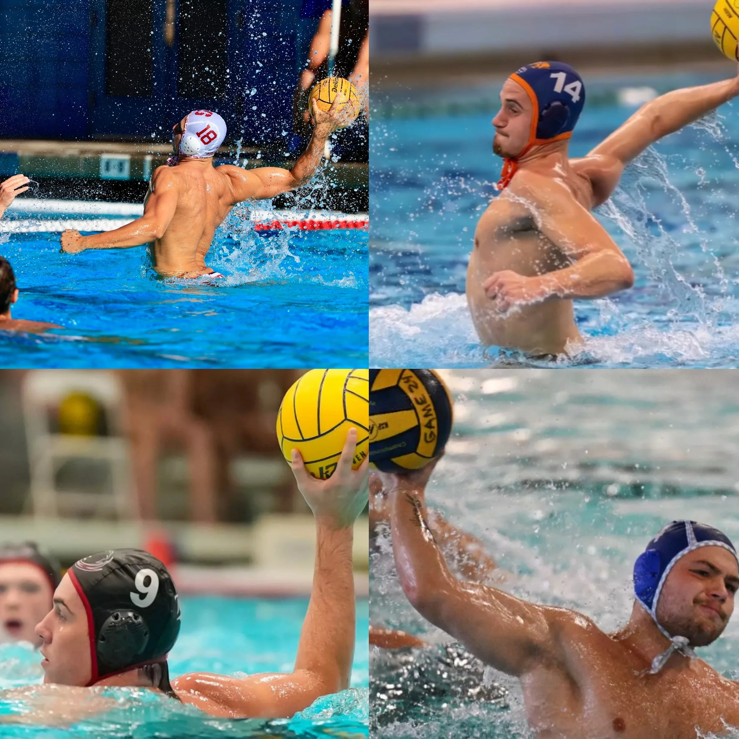 NCAA Men’s Regular Season Comes to an End, Three South Florida Studs headed to the NCAA Championships