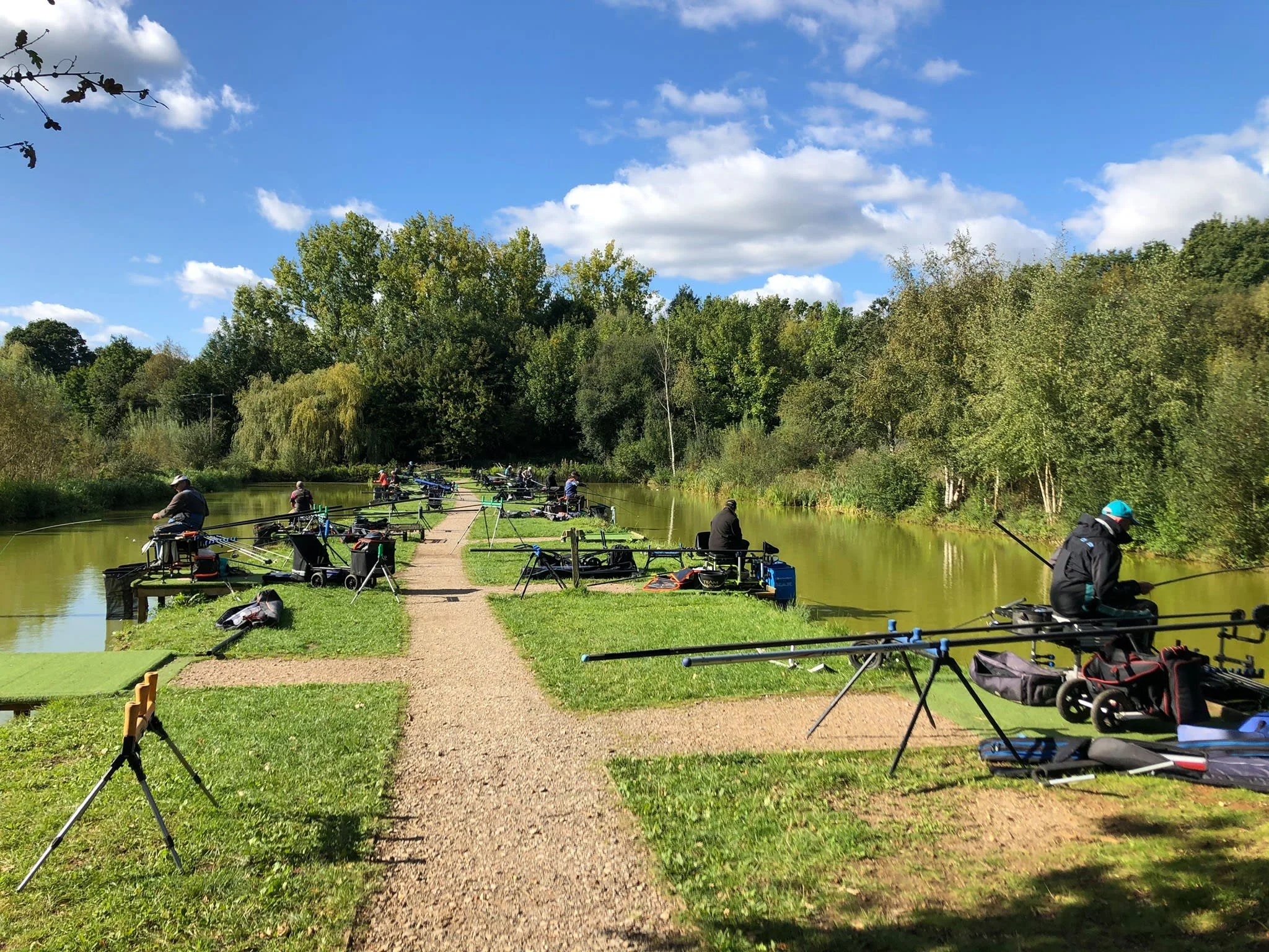 People fishing along a narrow pond with trees in the background, each positioned on small platforms, under a clear blue sky with scattered clouds.