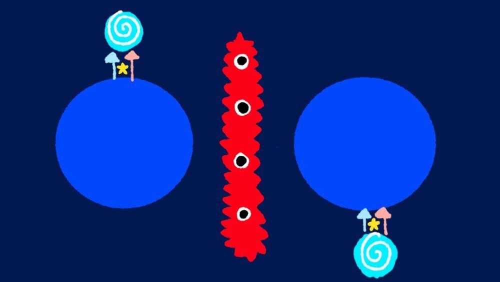 portal.jpg