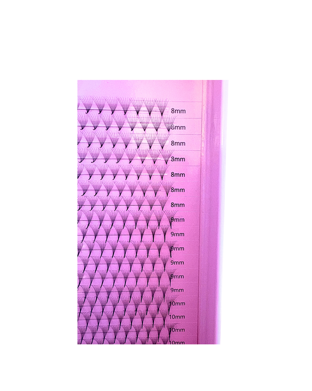 lashes - 4.png