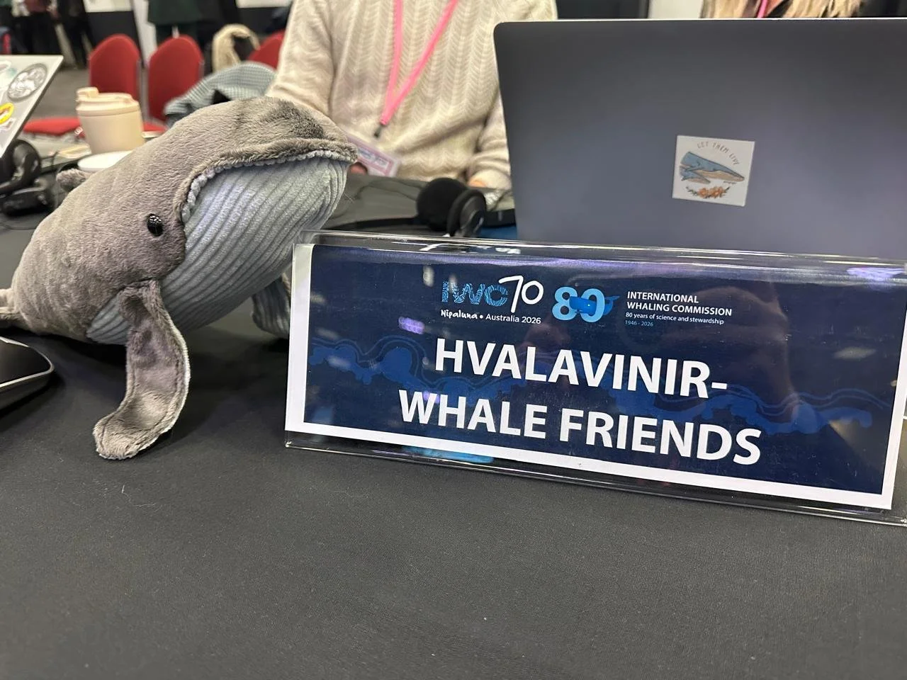 Hvalavinir's intervention on Whale Killing Methods at IWC70