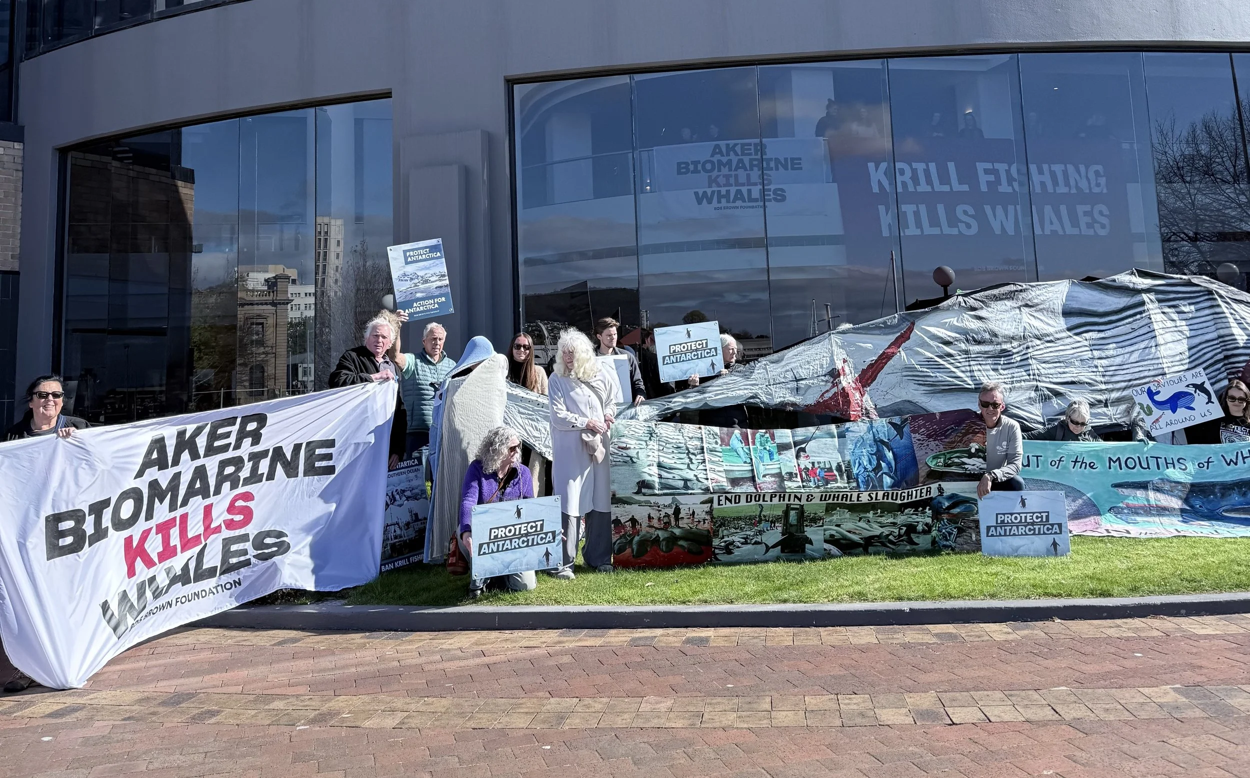 Bob Brown Foundation organised a protest outside IWC70 meeting