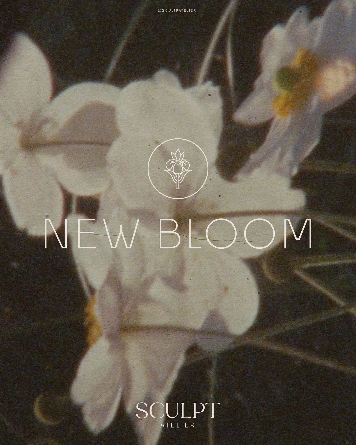 A new season loading&hellip;. 👀🪷