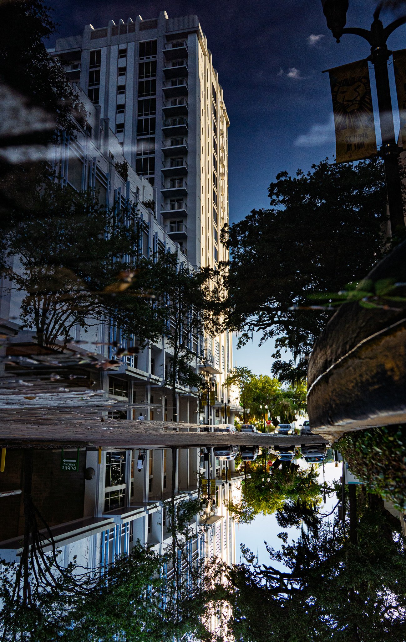 _A737499.jpg