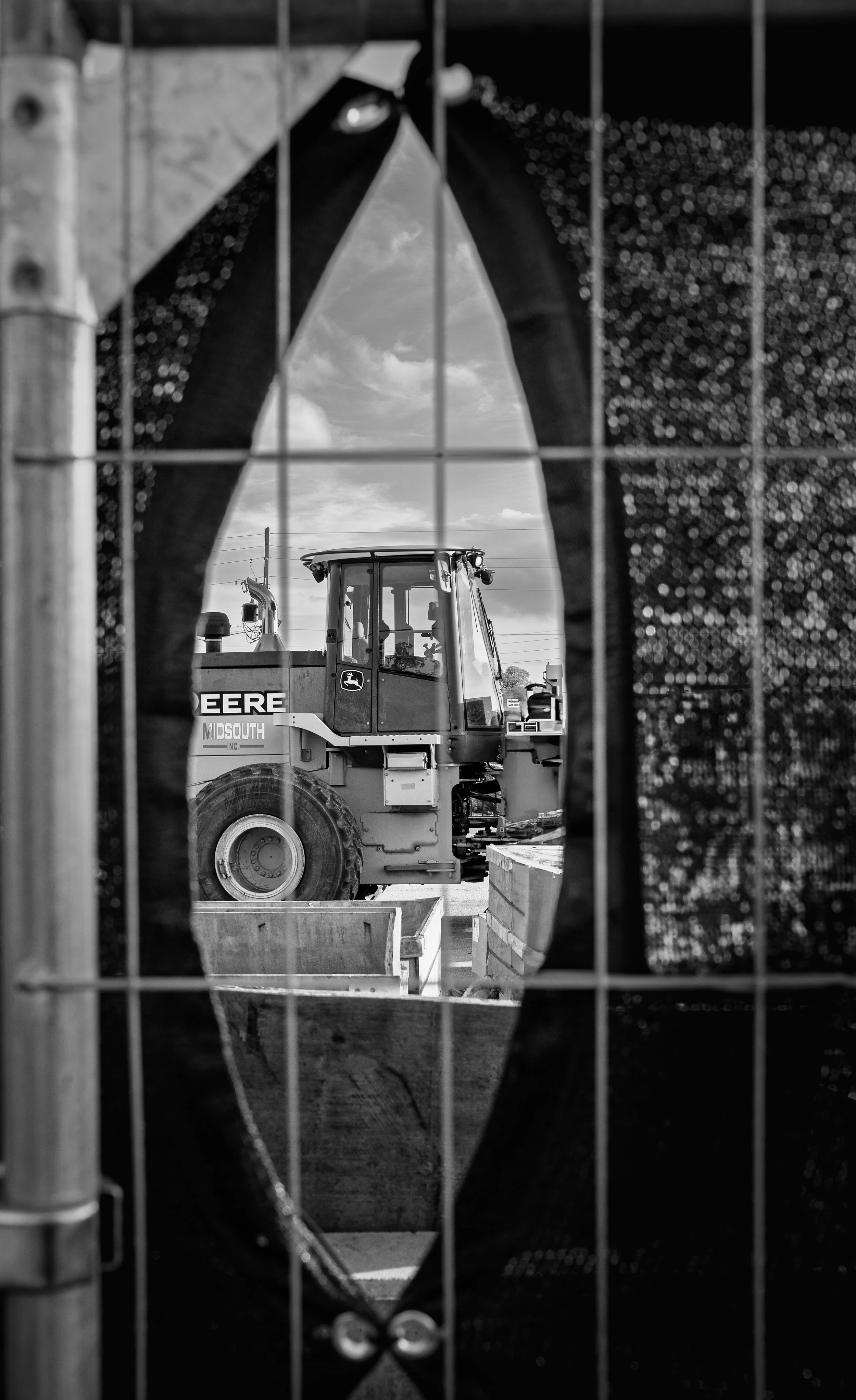 _A736930-3.jpg