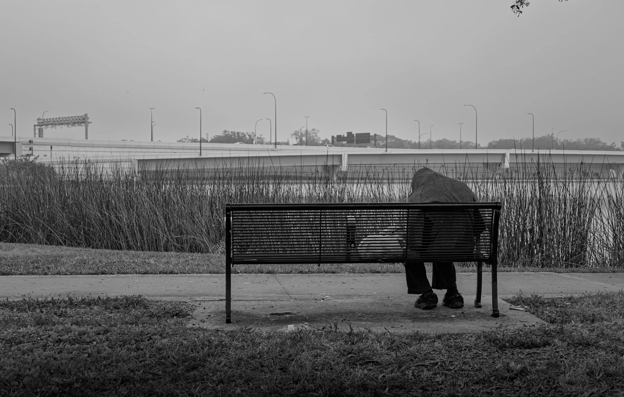 74-_A733717.jpg