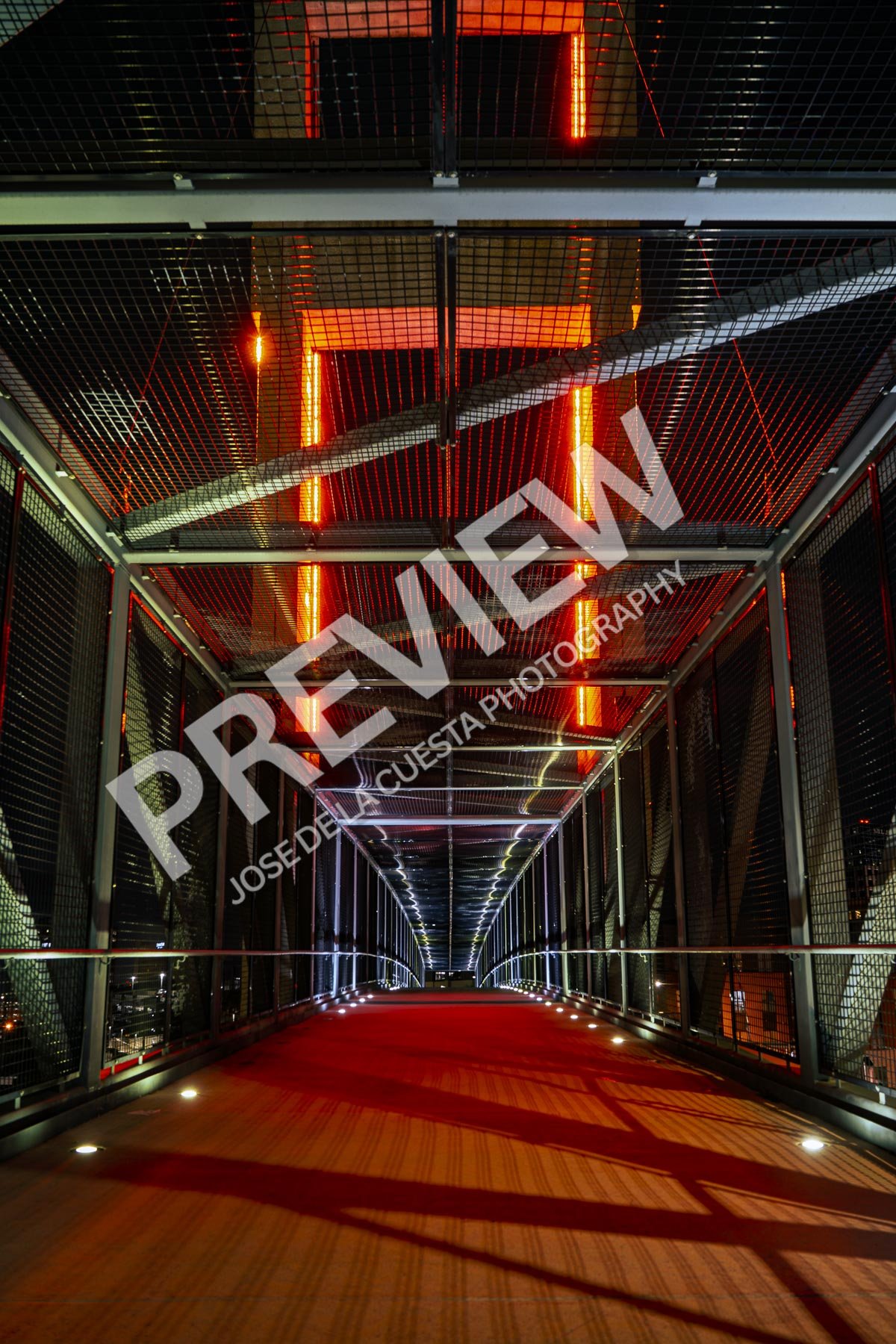 Vibrant Night - Orlando Pote Bridge Print