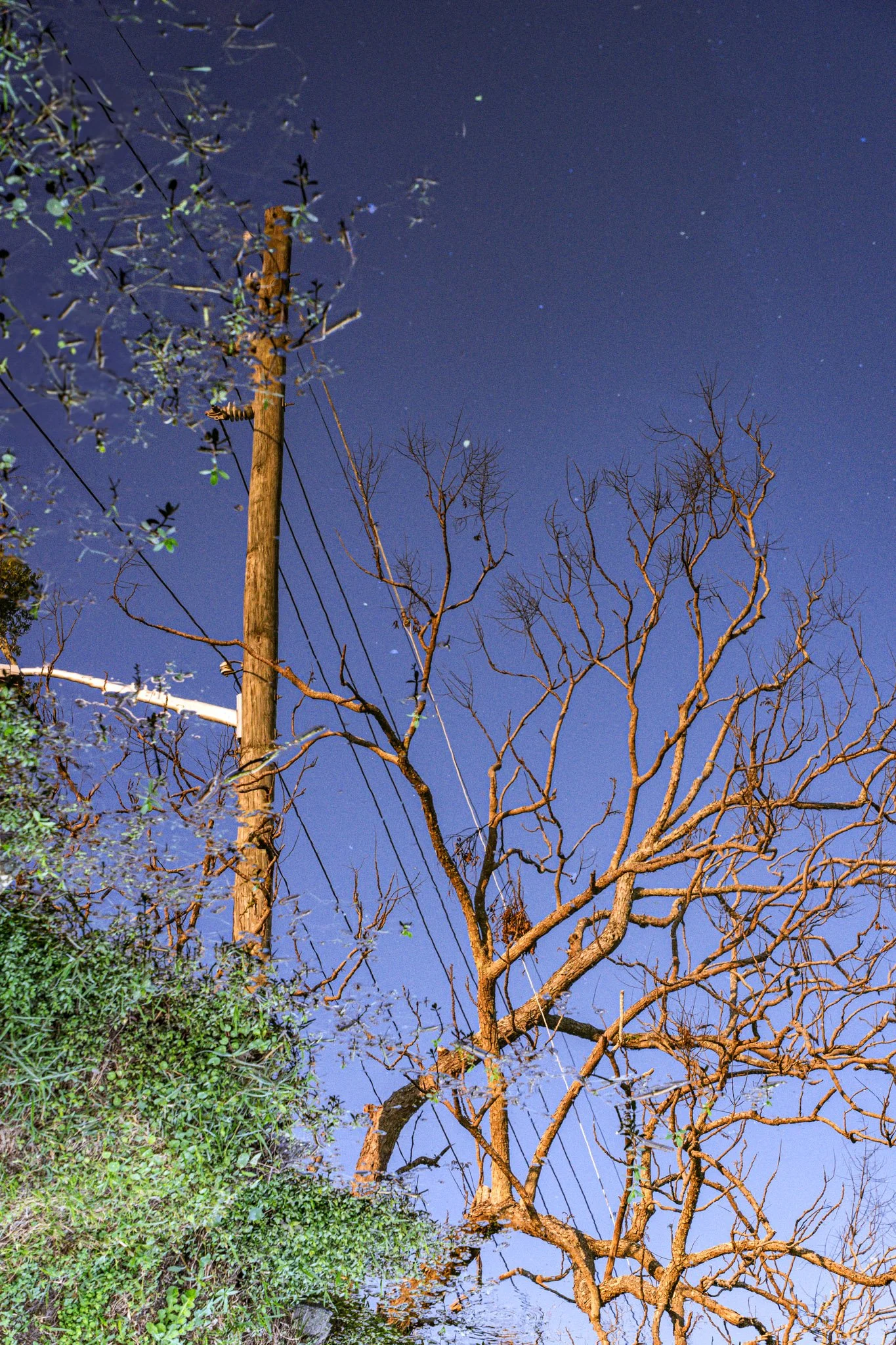 73-_A733960.jpg