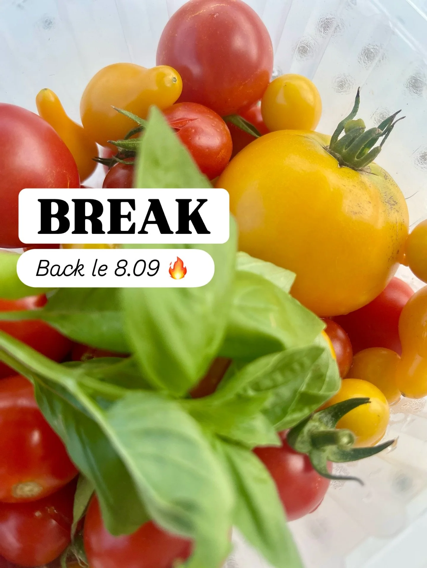 🍅 ☀️ Les vacances d&eacute;butent ☀️🍅

Les deux derniers mois auront &eacute;t&eacute; intenses, place &agrave; pr&eacute;sent &agrave; quelques jours off pour me ressourcer, profiter de la nature, et des petits plaisirs simples qui font p&eacute;t