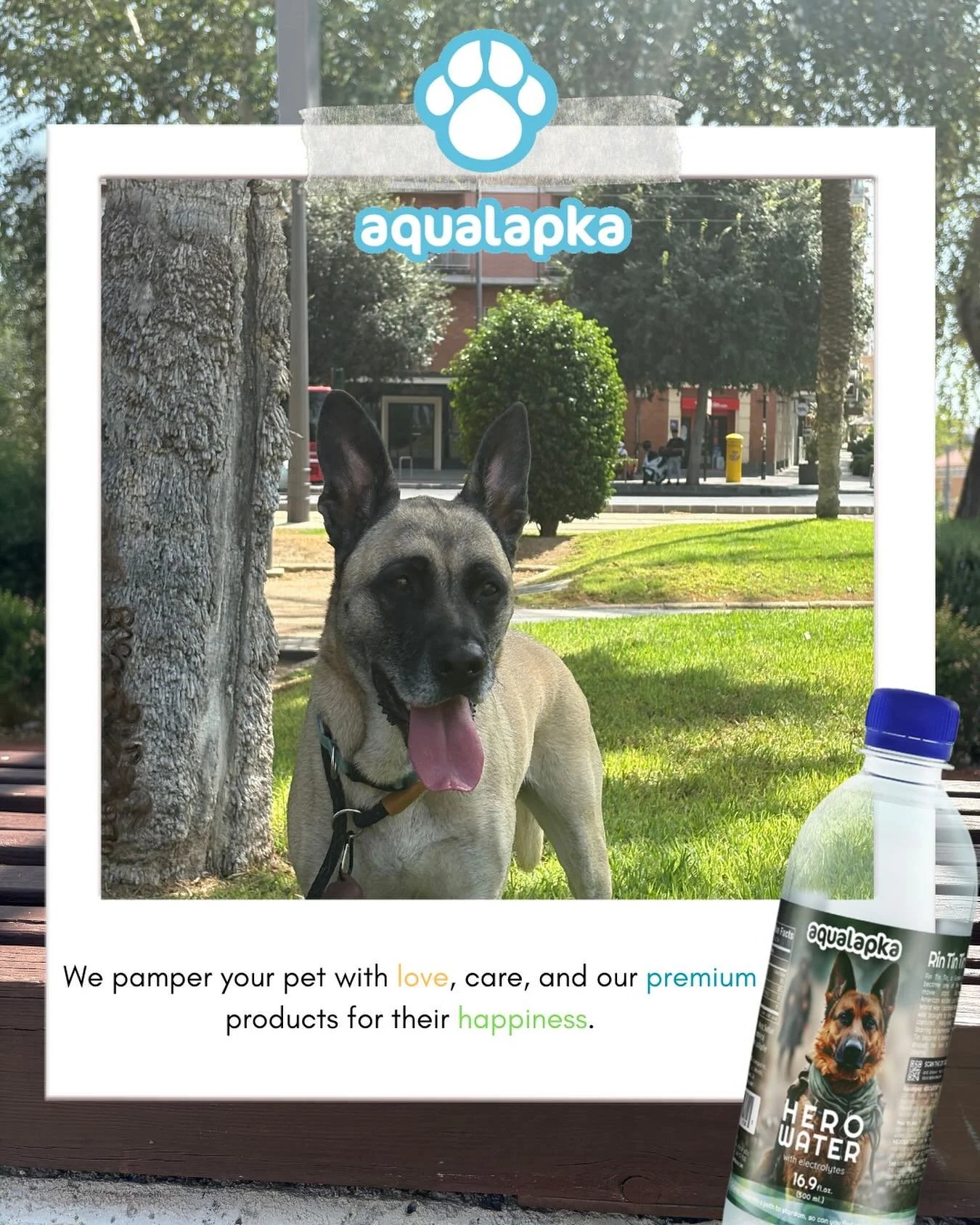 Shower your pet with love and vitality using Hero Water! This electrolyte-infused drink boosts energy and happiness, while our premium care products keep them thriving. 🐕💧❤️ #HeroWater #PetLove #Aqualapka #PetVitality #DogLovers #PetCare