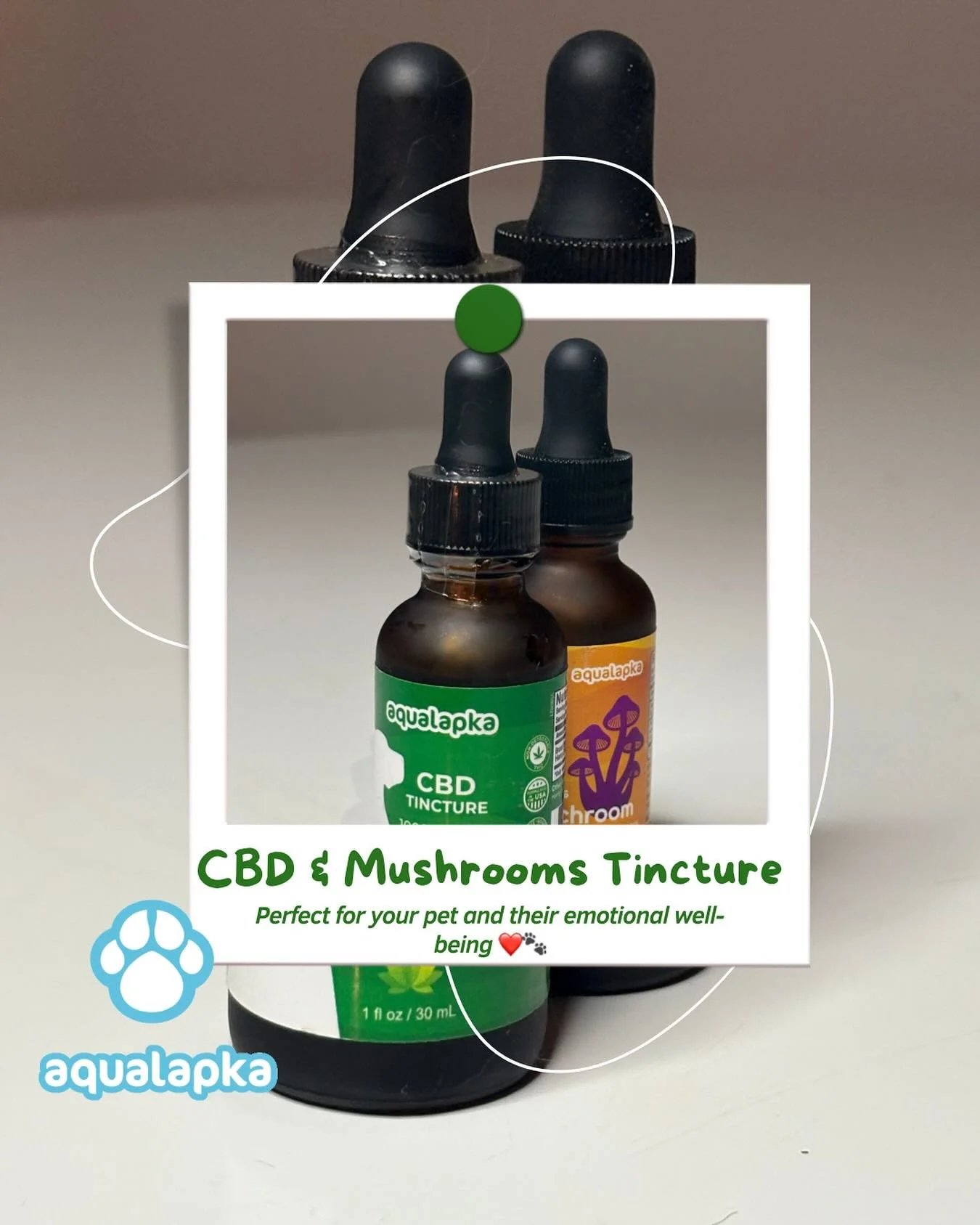 Discover the natural power of CBD extracts and Cordyceps mushrooms for your pets! 🐾✨ CBD is known for its calming effects, helping to reduce anxiety, promote relaxation, and support joint health in animals. Cordyceps, a potent medicinal mushroom, bo