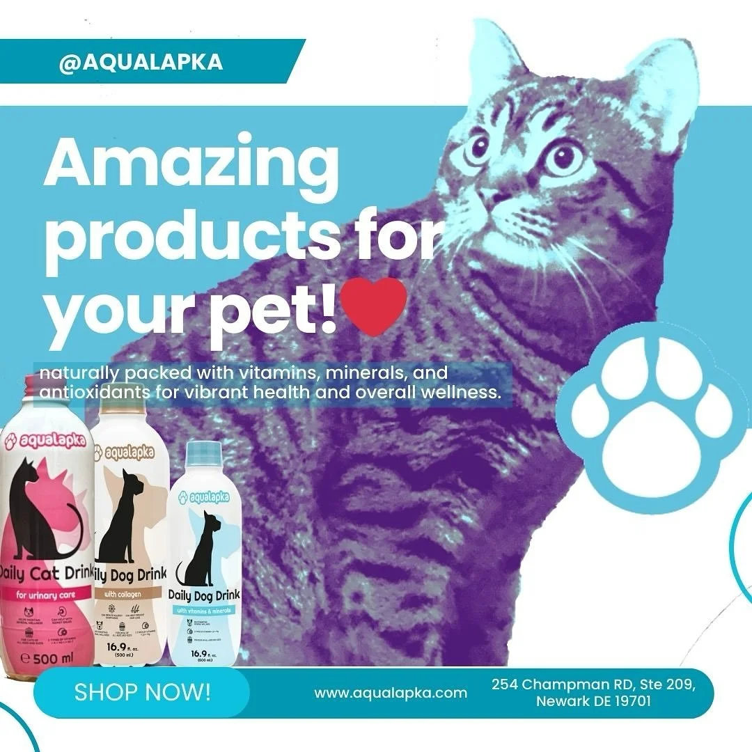 Discover the refreshing power of Aqualapka! 🐾💧 Treat your pets to our premium products, packed with vitamins, minerals, collagen, CBD extracts, and cordyceps mushrooms for their ultimate well-being. 🐶🐱 Shop now at Aqualapka.com and give your furr