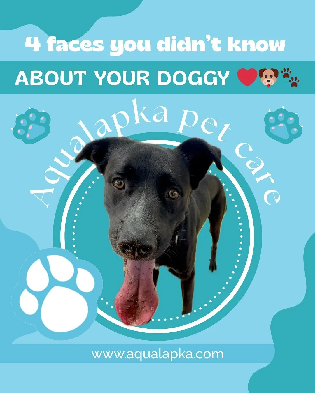 🐶 Did you know your furry friend has some surprising secrets? From their incredible senses to unique quirks, your dog is full of surprises waiting to be discovered! Share the love for your pup and learn more about what makes them so special. 🐾❤️ #D