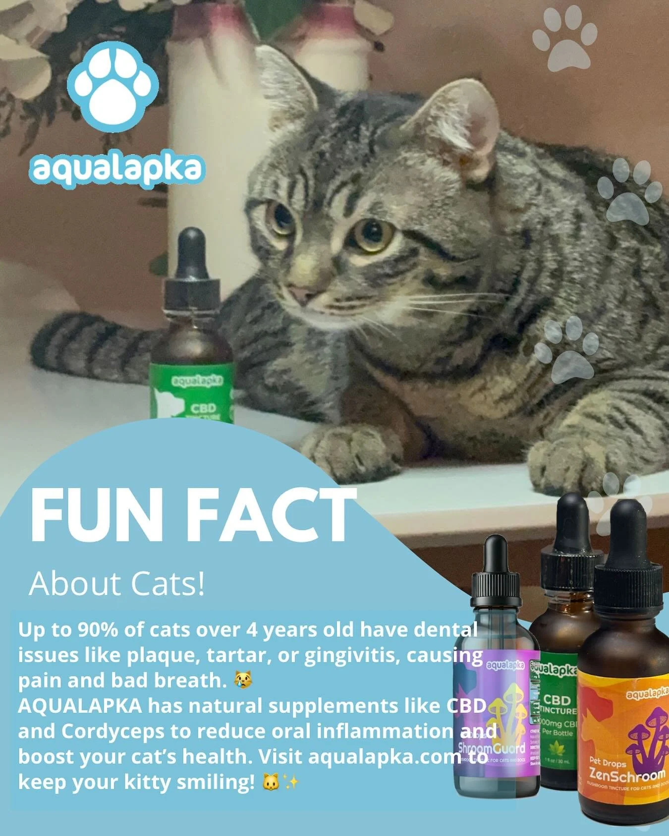 Surprise! Over 90% of cats aged 4+ deal with dental problems like tartar and gum inflammation, leading to discomfort and stinky breath. 😿 Give your feline friend the best care with AQUALAPKA’s natural supplements! Our CBD and Cordyceps blends
