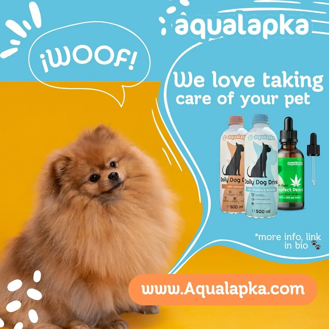 Keep your pup happy and hydrated with our daily dog water products! 🐶💦 Specially crafted for their health and vitality. Shop now!  #DogLovers #PetCare 
#PetHydration #DogHealth #HealthyPaws #PuppyLove #DogWellness #PetProducts #FurBaby #DogCareEsse