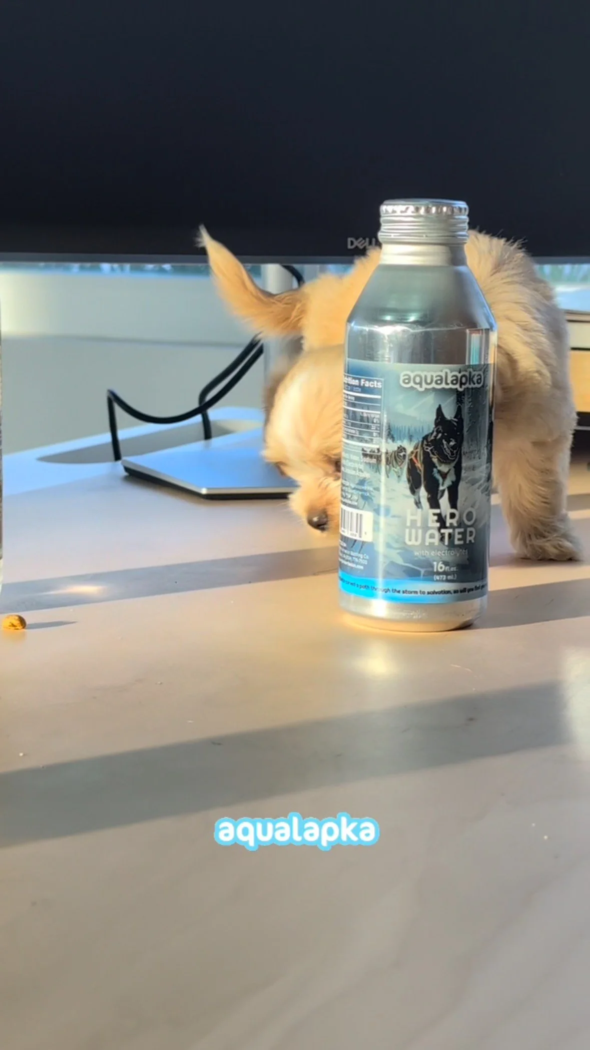 🚀 Unleash your pup’s inner hero with Aqualapka’s Hero Water – the ultimate hydration boost packed with essential vitamins (B1, B3, B6), zinc, selenium, and electrolytes! 💧 Say goodbye to plain water and hello to tail-wagging vital