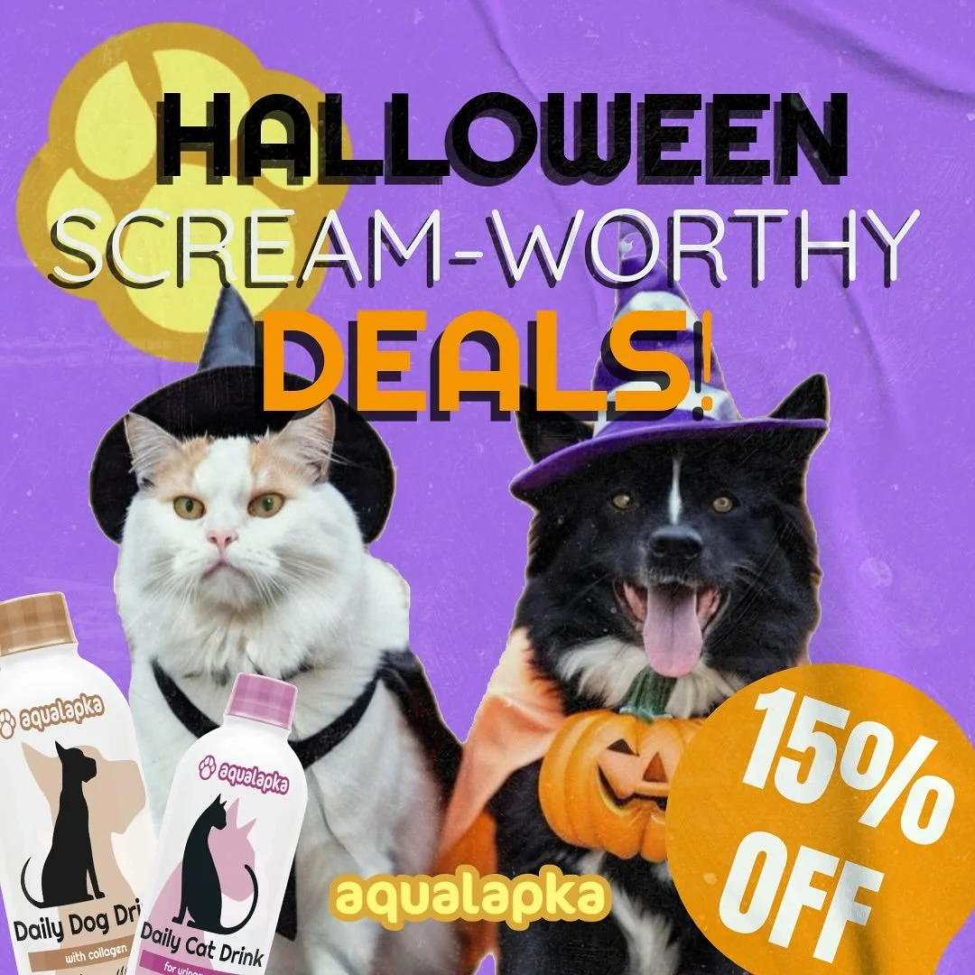 Get ready to treat your furry friend to a spooktacular Halloween! 🐶🐱👻 Aqualapka is offering a 15% discount on all our premium functional pet drinks. From collagen-infused water for dogs to vitamin-packed drinks for cats, keep your pet hydrated, ha