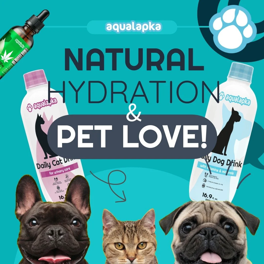 Is your dog’s skin dry or itchy? 🐶 Keep their coat shiny and healthy with AQUALAPKA’s Daily Water! Packed with B1, B3, B6, Zinc, Magnesium, and Collagen, it boosts skin health, immunity, and vitality. Plus, try our CBD for pets to ease p