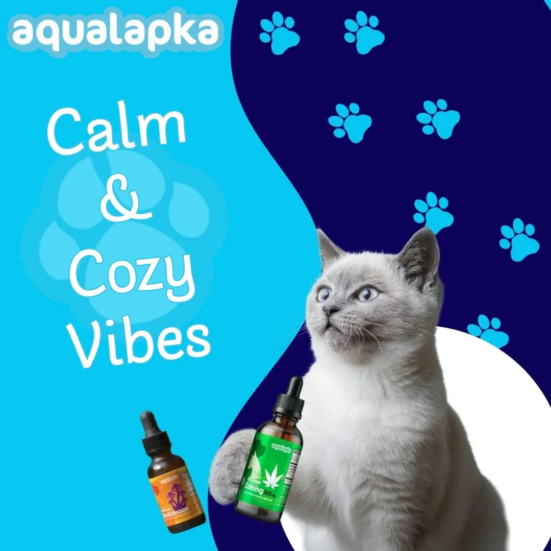 Create 'Calm & Cozy Vibes' for your furry friend! 🐱✨ AQUALAPKA's CBD and Cordyceps Mushroom Extract blends bring natural relaxation—easing anxiety, reducing stress, and boosting immunity without drowsiness. Perfect for cats and dogs needin