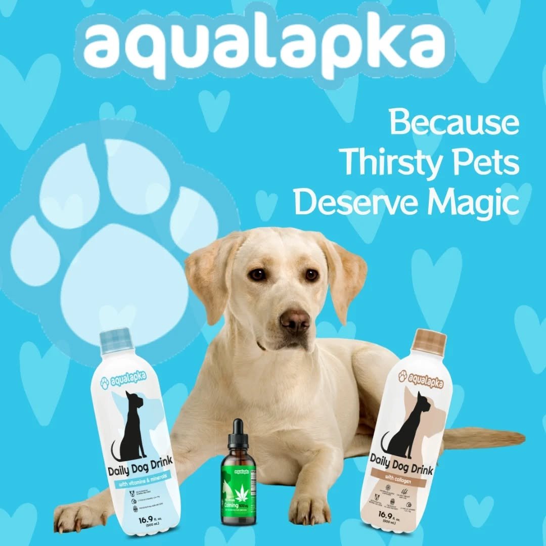 Magic for thirsty pets! 🐶💦 

Daily Dog Drink: vitamins, collagen or calming CBD. Hydration + love in every lick. 🌿✨ 

Which one for your pup? 

#aqualapka  #DailyDogDrink #PetHydration #CBDForPets #PetsDeserveMagic #HappyDogs #DogLovers