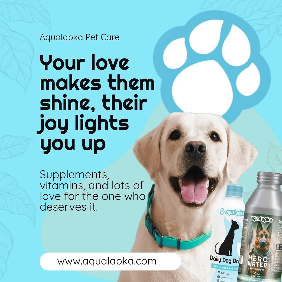 Your pet&rsquo;s energy, shiny coat, and happy heart don&rsquo;t happen by chance&mdash;they&rsquo;re built with the right care every day. 🐾✨
AQUALAPKA&rsquo;s premium vitamins and supplements deliver essential nutrients like B-complex, electrolytes