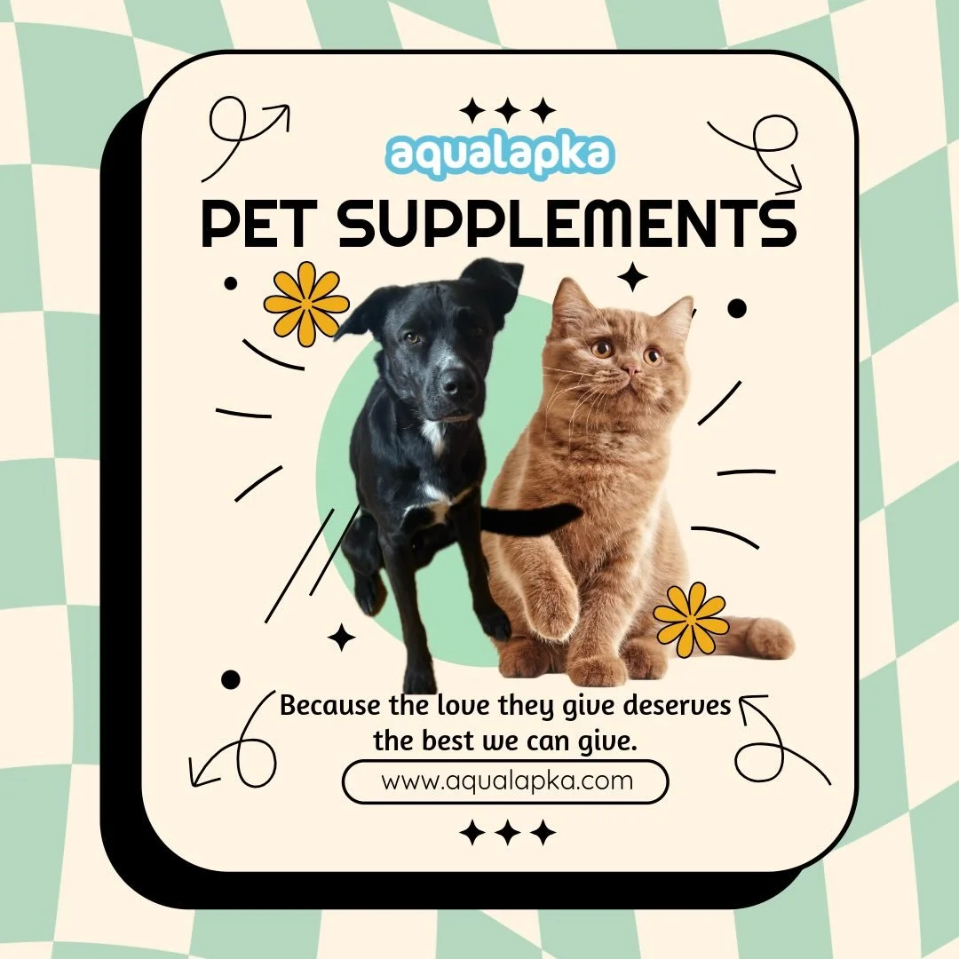 Your best friend gives you unconditional love every single day&hellip; isn&rsquo;t it time their water gave them something back? 💧❤️
With Aqualapka, plain water becomes extraordinary:
✧ Daily Vitamin Waters &ndash; delicious hydration infused with B