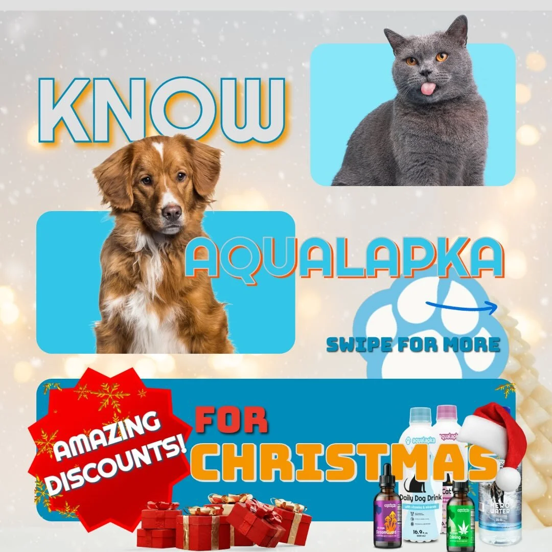 This holiday season, spoil your furry best friends with the gift of superior health and hydration from Aqualapka! 🎄🐶🐱💦
As a pioneering brand in functional pet hydration, Aqualapka offers innovative, natural drinks and remedies specially crafted f