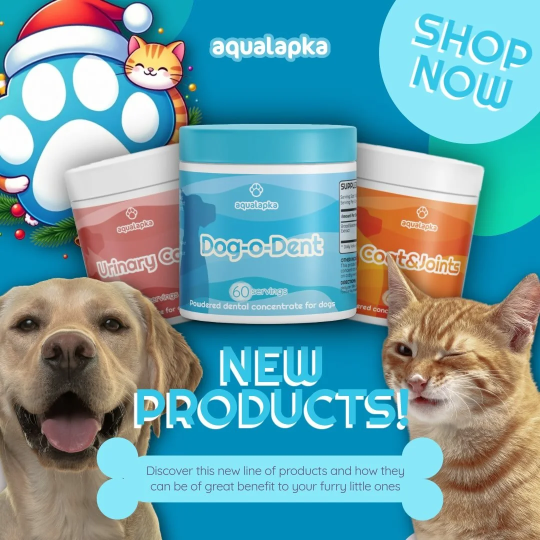 This Christmas, give your furry friends the wellness they deserve with Aqualapka&rsquo;s new line of natural supplements! Imagine your cat free from urinary infections thanks to Urinary Care, with cranberry extracts and L-theanine that calm stress an