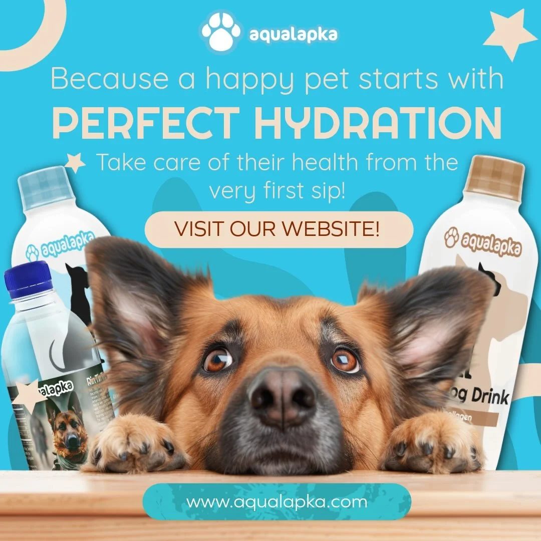 From artesian-sourced water boosted with electrolytes to collagen-rich drinks for strong joints and shiny coats, Aqualapka gives your furry friend the premium care they deserve &ndash; right from the first sip.
Who&rsquo;s ready to level up their pet
