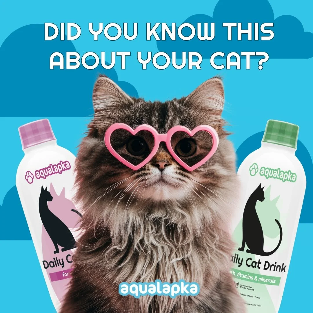 Quick cat care hacks you NEED to know! 🐱✨
From why your cat is obsessed with running water, to the REAL reason they hate a dirty litter box&hellip; these little tips can make your kitty happier, healthier, and way less stressed.
Which one surprised 