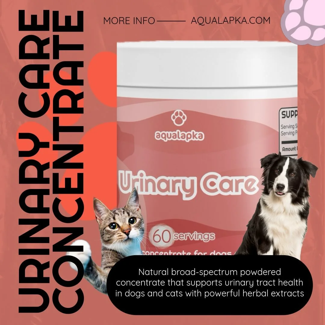 Keep your pets&rsquo; urinary tract happy and healthy with Aqualapka Urinary Care! This powerhouse concentrate blends cranberry extract, parsley, glucosamine, and L-theanine to prevent UTIs, boost hydration, and ease stress. Perfect for dogs &amp; ca