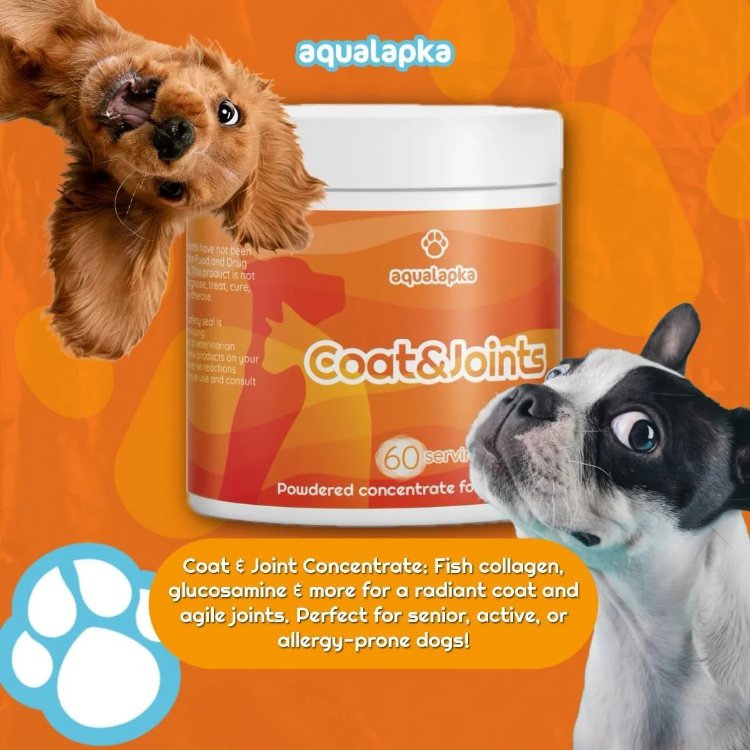 Discover the power of Aqualapka&rsquo;s Coat &amp; Joint Concentrate for your dog! 🌟 This premium powder concentrate is packed with hydrolyzed fish collagen, glucosamine, chondroitin, MSM, vitamin C, zinc, B vitamins, horsetail extract, and hydrolyz