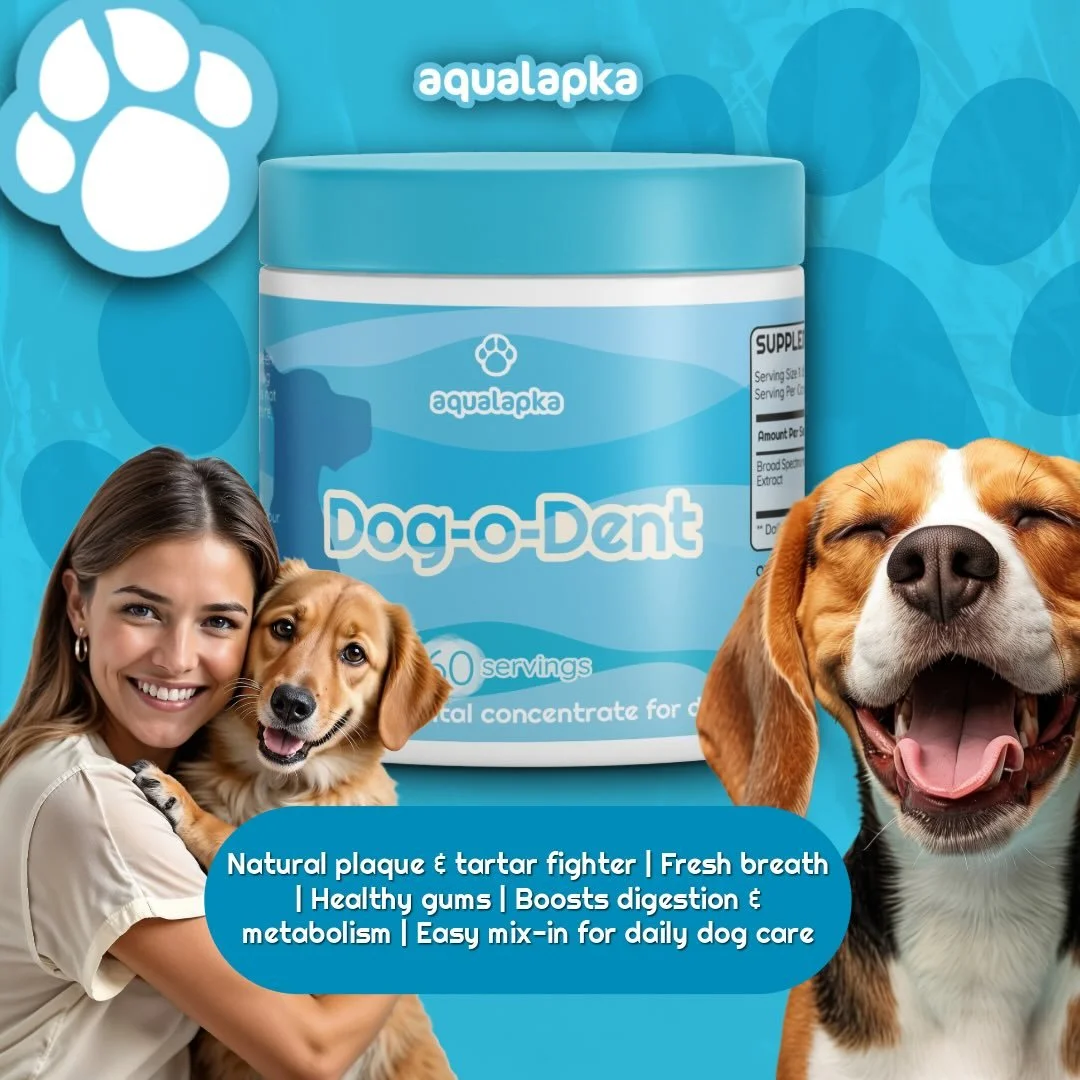 Give your dog&rsquo;s smile a natural boost with Dog-O-Dent Concentrate! This powerhouse from premium Ascophyllum nodosum brown algae is loaded with iodine, vitamins, minerals, and antioxidants to break down plaque and tartar, banish bad breath, and 
