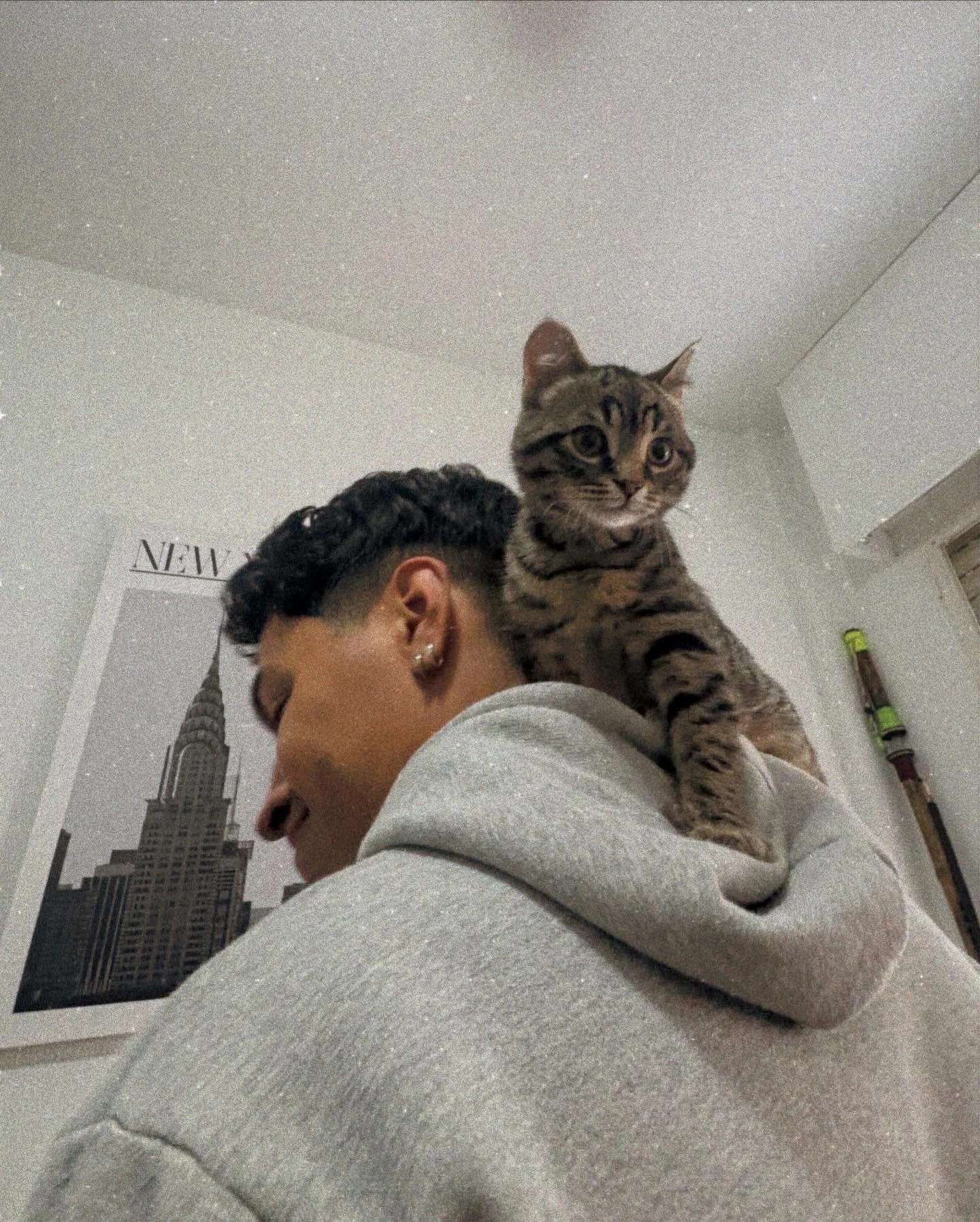 When your best friend decides YOUR shoulder is the official throne 🐱✨
Nothing beats these moments of pure love and endless purrs.
And to keep your feline king ruling with all the energy and health he deserves, take care of him with Aqualapka&rsquo;s