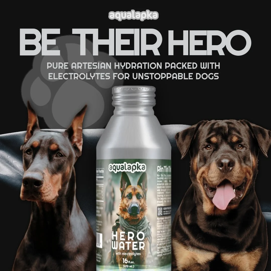 Your pet&rsquo;s daily hero has arrived! 🦸&zwj;♂️💧 Hero Water by Aqualapka is premium artesian aquifer water, naturally pure and boosted with essential electrolytes, vitamins B1, B3, B6, zinc &amp; selenium to support vitality, energy, and overall 