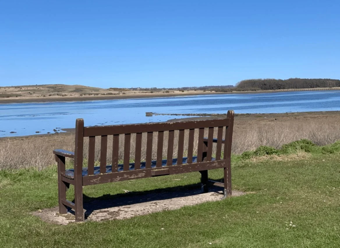 The Journey to Becoming a Celebrant - Part 2 