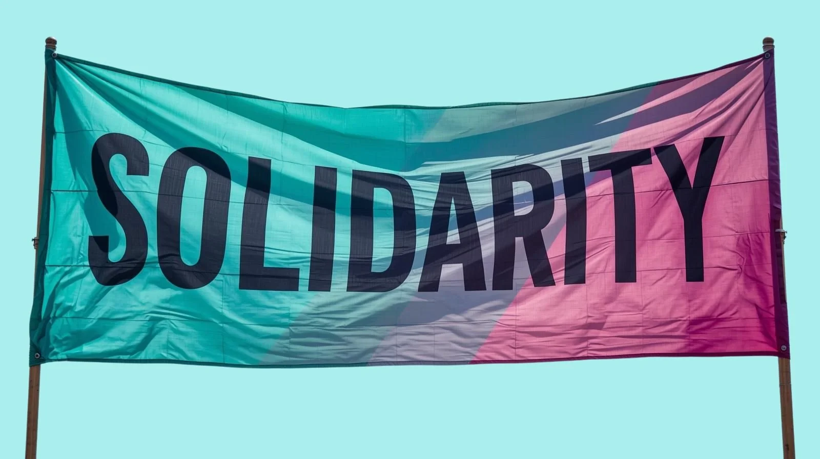 This  image of a turquoise and pink banner with the word solidarity written on it is generated.