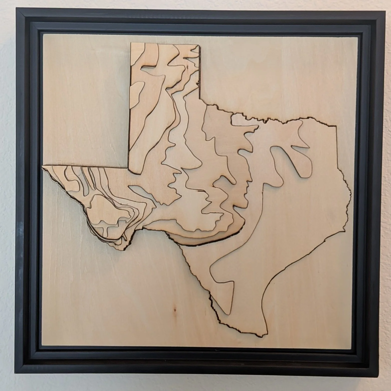 Check out another AIMer-made Silent Auction item! Using his GIS certification skills, AIMer Caedan created this one-of-a-kind piece of art that shows the topography of Texas. He started by downloading real state border and contour line data from TxDO
