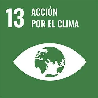 13-accion-por-el-clima-3.jpg