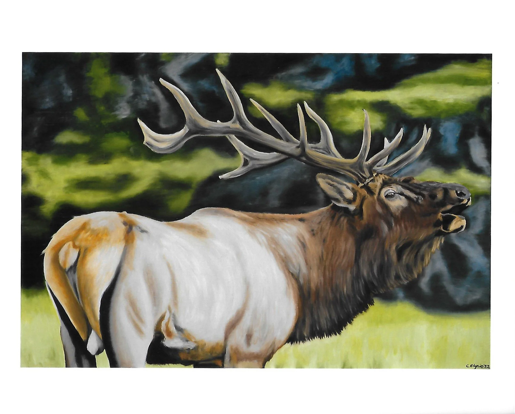 "Call of the Wild" Print