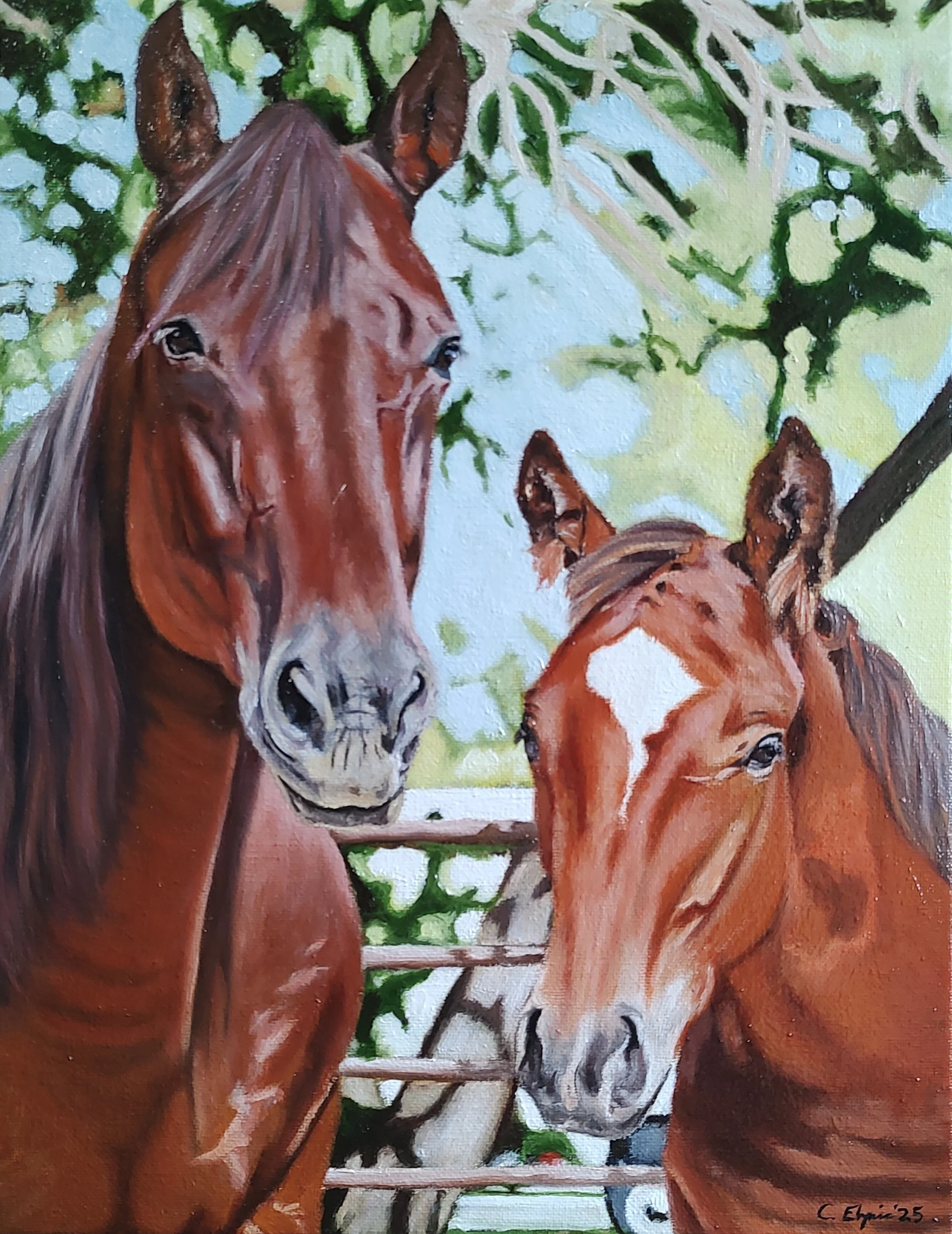 "Legacy"

Oil on 11" x 14" canvas