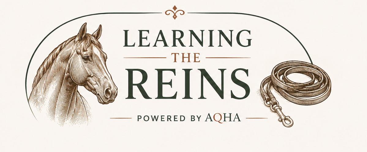Unpublished work in progress page that connects people looking to get started with horses to the right resources and programs AQHA offers. 