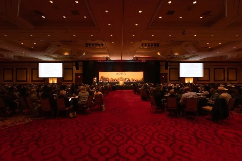 Convention recap release