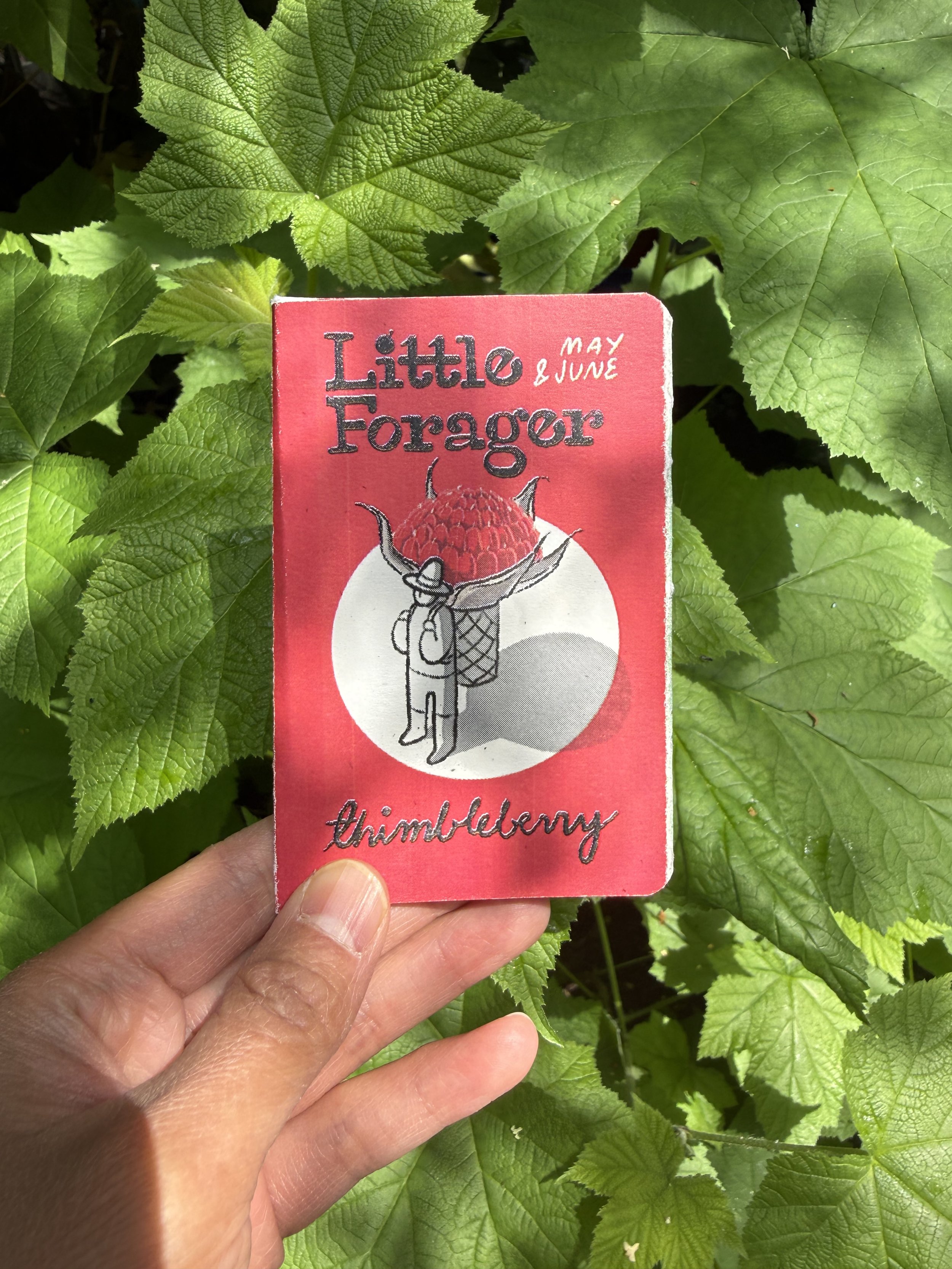 little-forager_thimbleberry_rachelleethainyeholt_seededstories.jpeg
