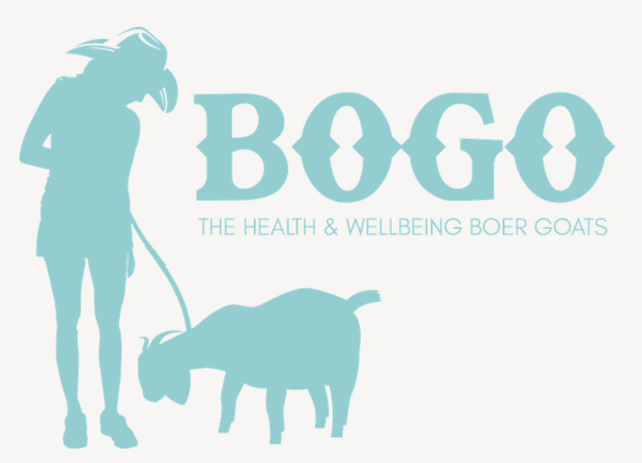 Screenshot 2025-11-27 at 09.41.31.png