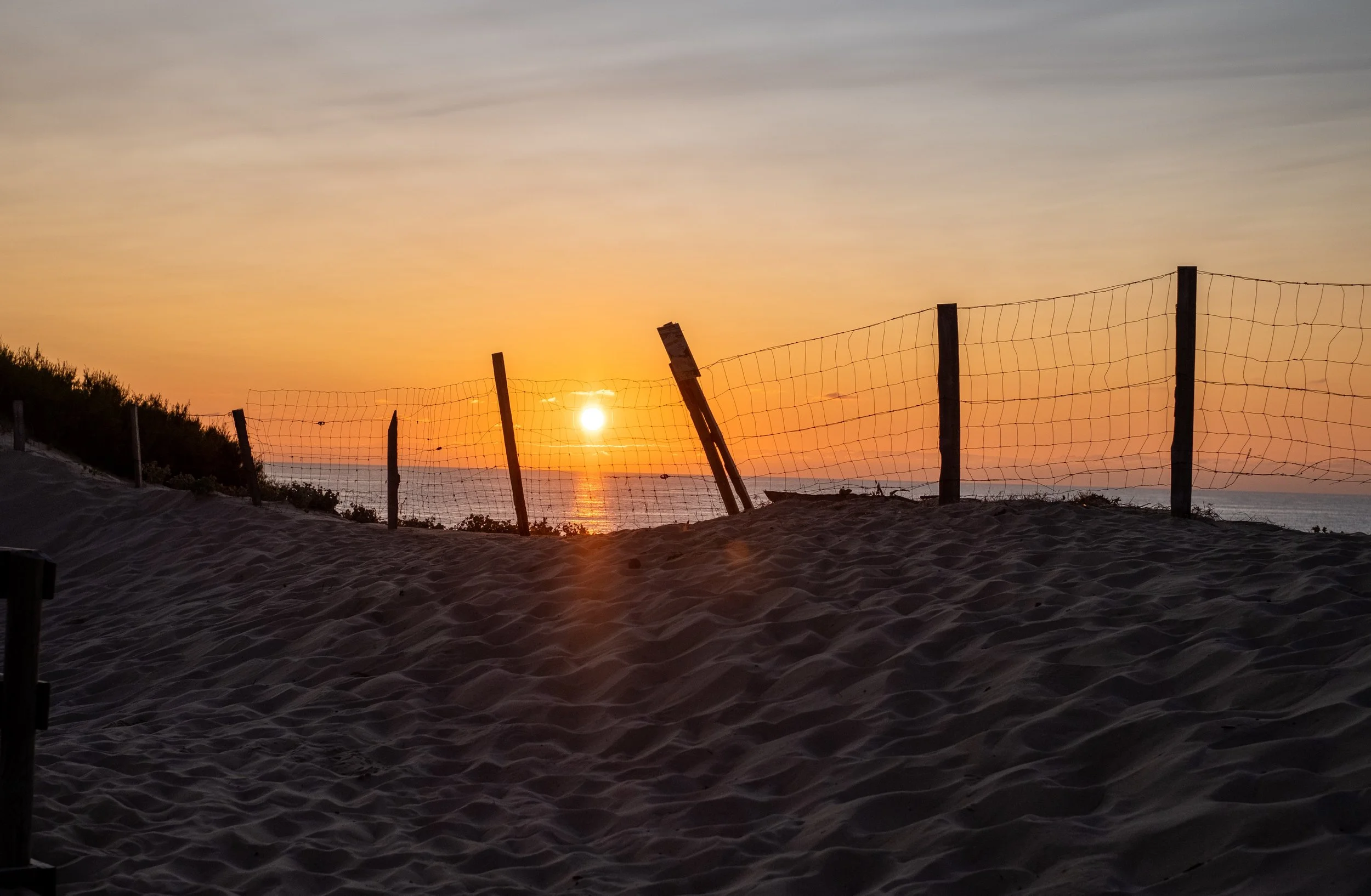 Sunset over a sandy beach with a broken fence and plants along the dunes.